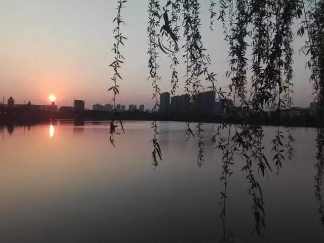 鎶楃柅鏃ヨ鏁ｆ枃,鎶楃柅鑳屽奖浣滄枃