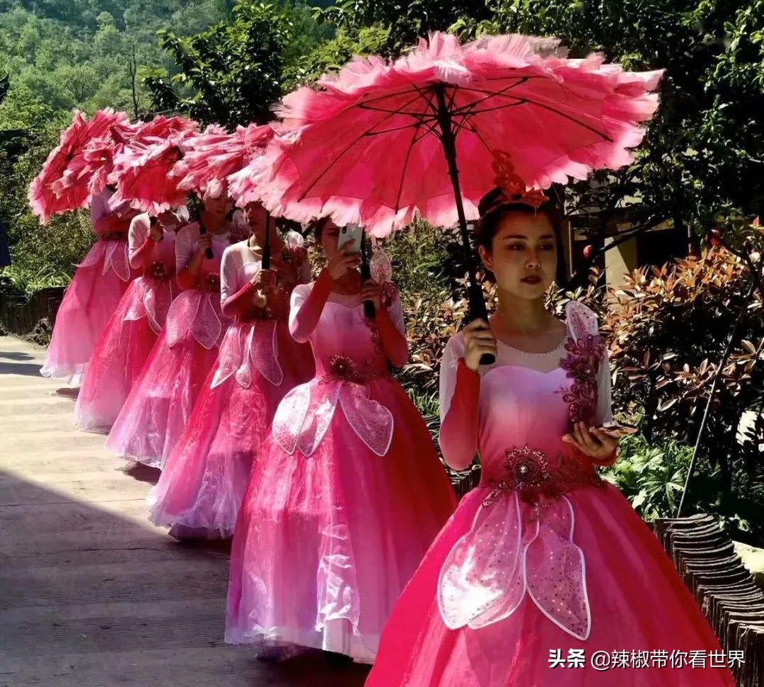 小城故事陇川,康县小城故事