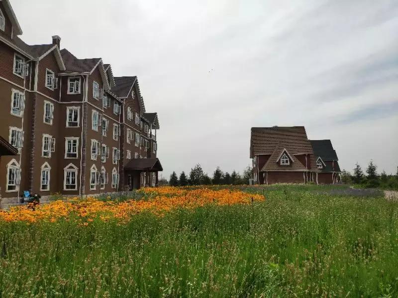 一家银行与80后海归的田园梦想