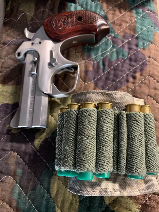 疫情来袭，在美华人纷纷囤枪，选枪是门大学问，听听大佬怎么说？