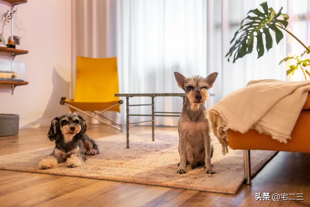 霓虹灯下，他们的“摇滚之家”