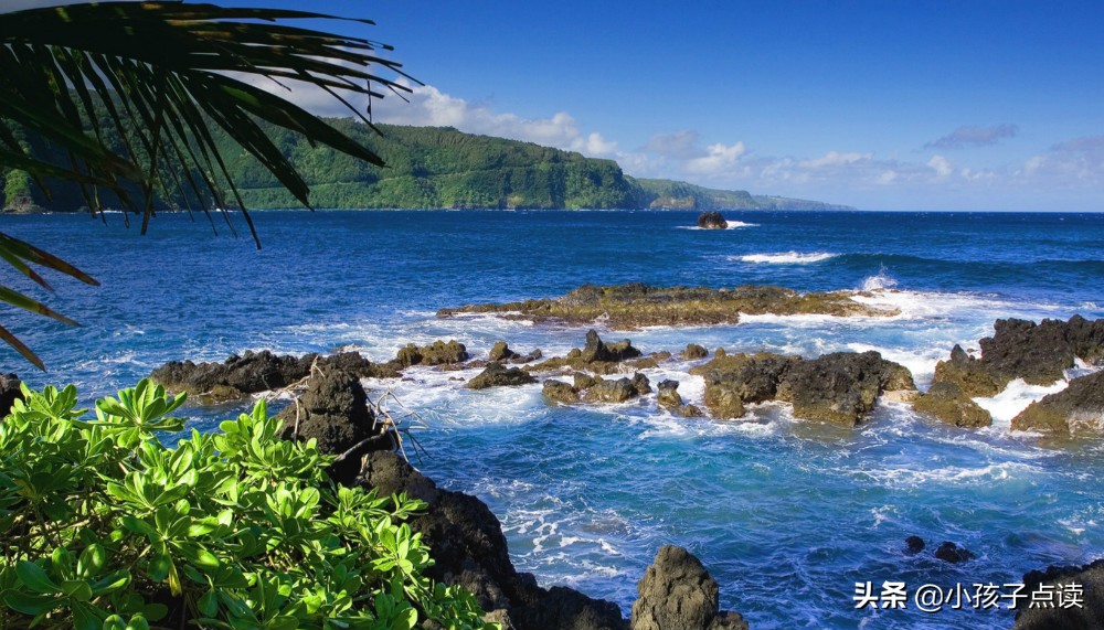 白居易买花诗特征,白居易买花牡丹