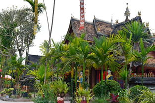 西双版纳傣族自治州旅游攻略,西双版纳傣族自治州旅游攻略跟团