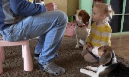 “这移动篮球架可还行？”爸爸又解锁了带娃新方式