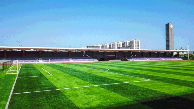 从小到大在北大上学,从小在北大上学是什么体验