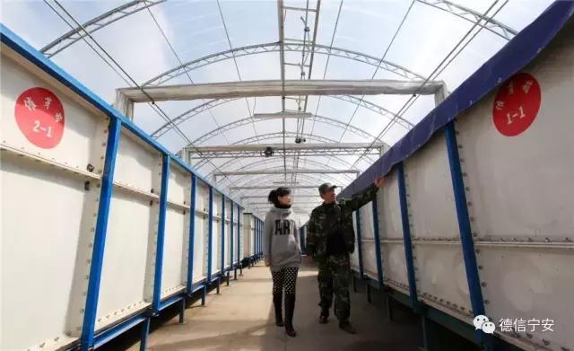 农业农村部、财政部公布！宁安成为首批20个国家现代农业产业园之一