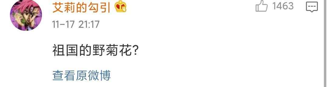 你们还记得你的第一个网名吗,还记得你用过的第一个网名吗