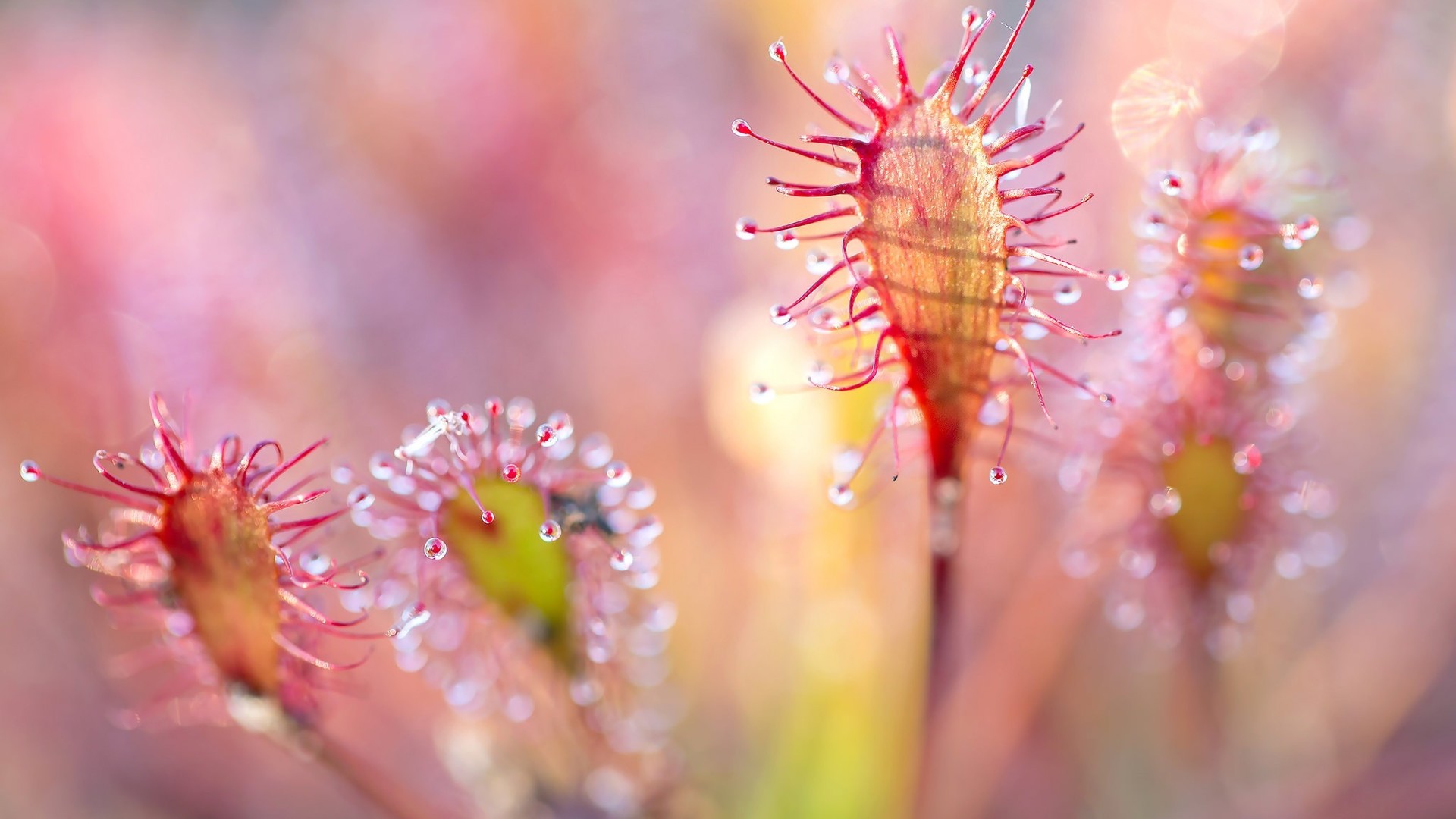 了凡四训病由心灭,了凡四训不生子的原因
