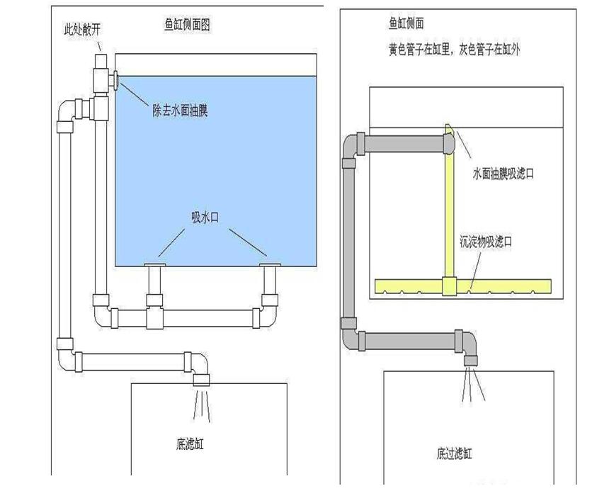 小型鱼缸过滤怎么设计,家庭鱼缸定制注意事项