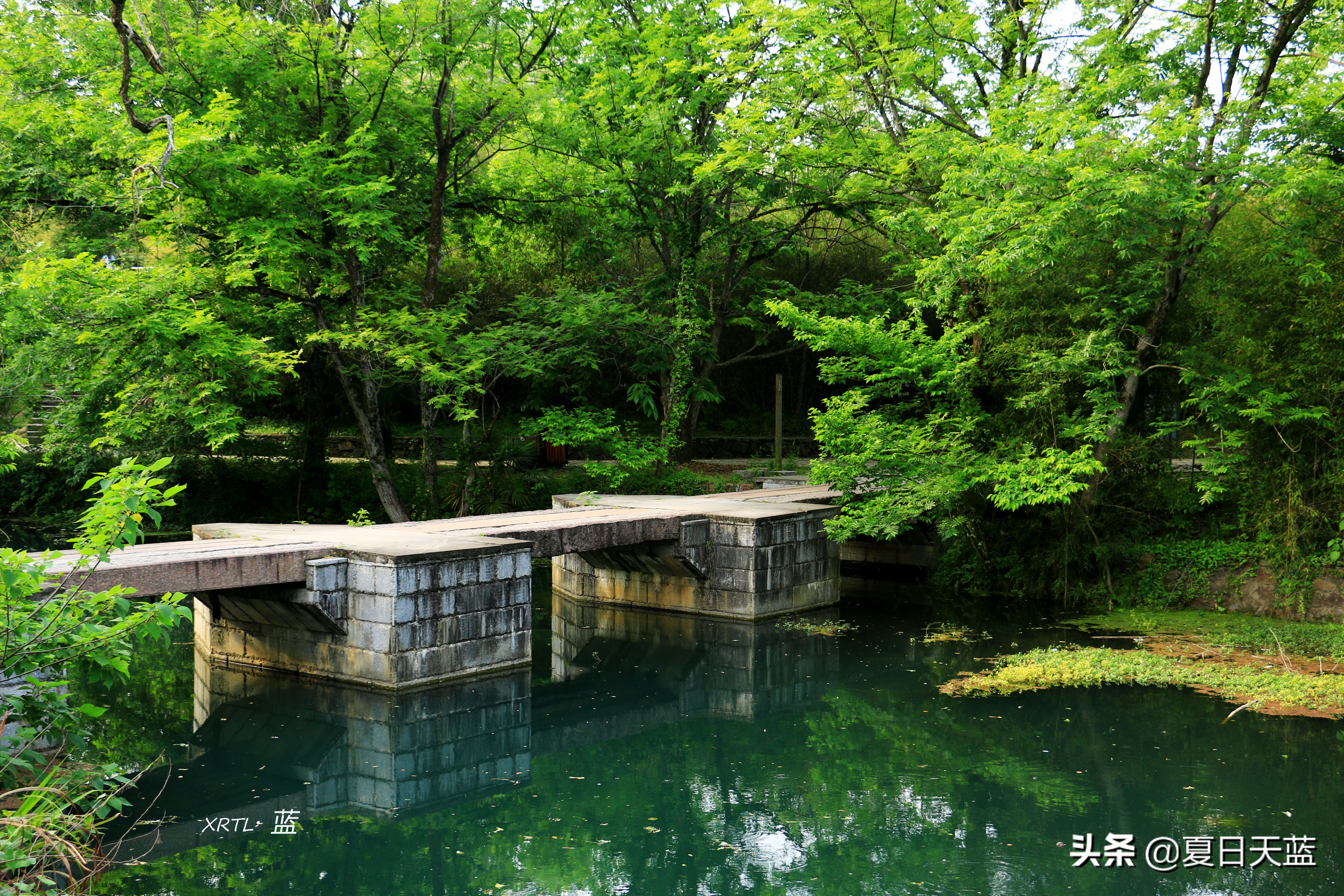 李白在桃花潭写的千古名句,桃花潭因李白而出名的诗句