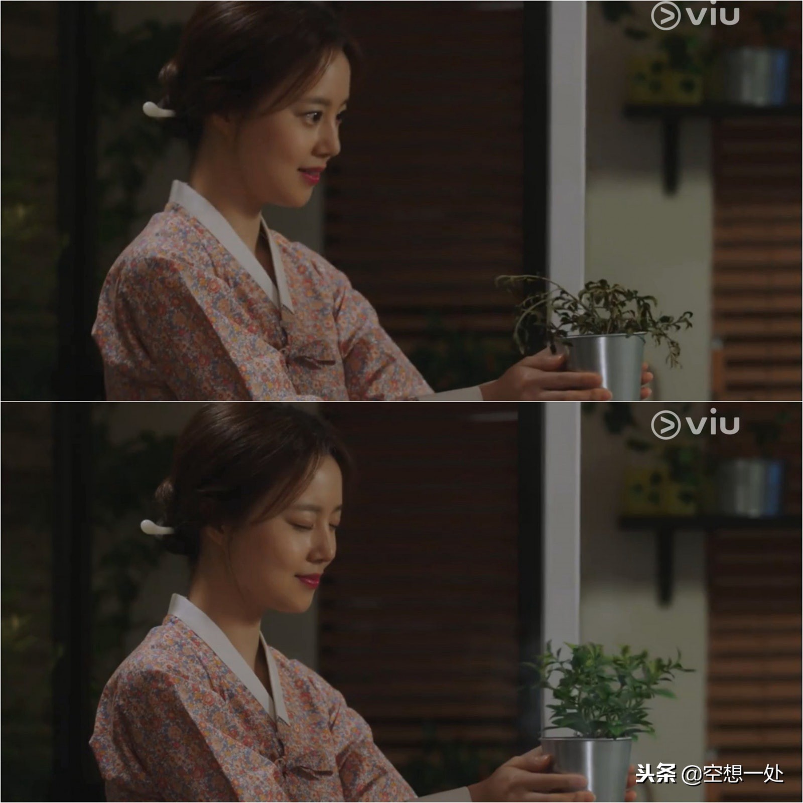 鸡龙仙女传全,文彩元鸡龙仙女传