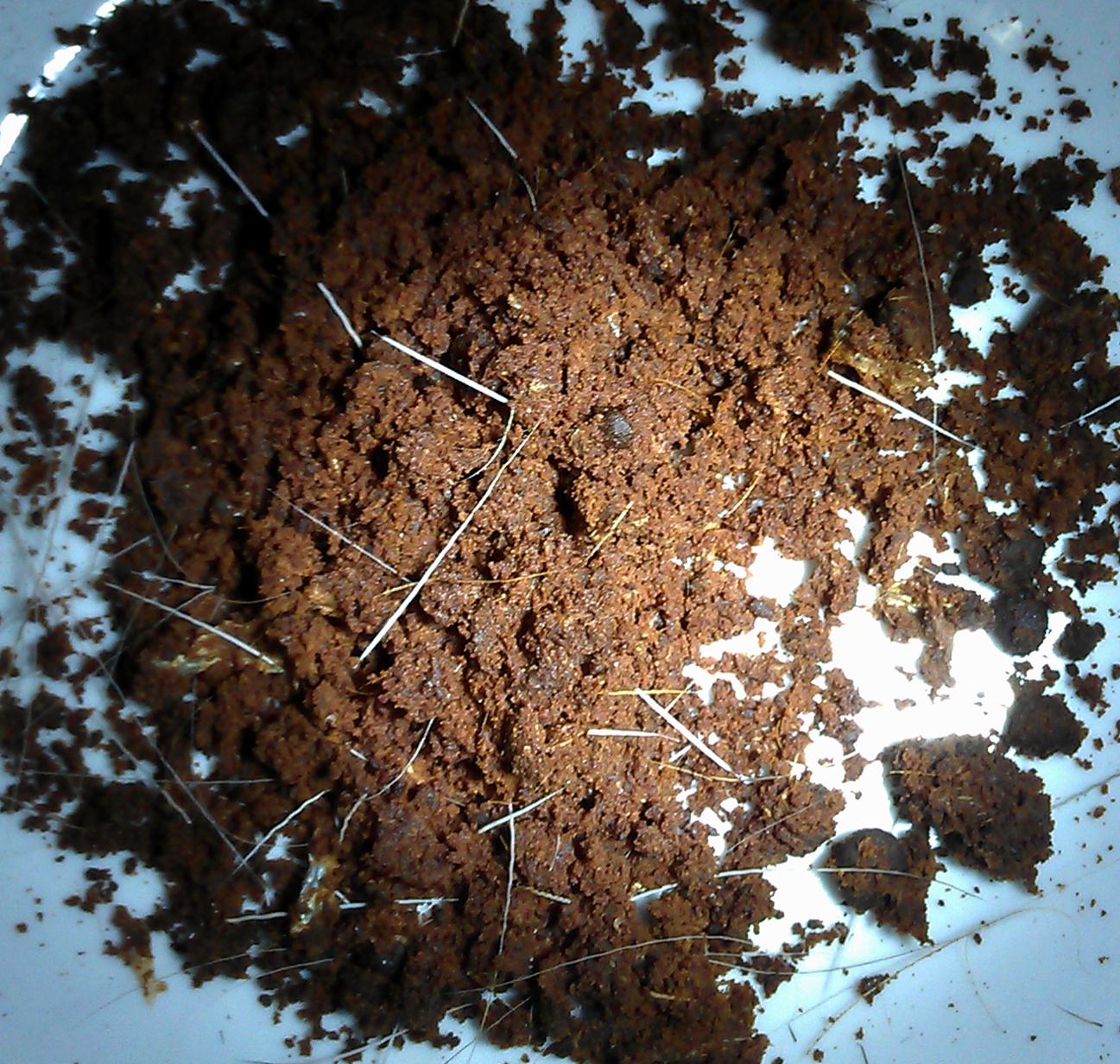 诱鱼的香料,诱鱼最快的香料