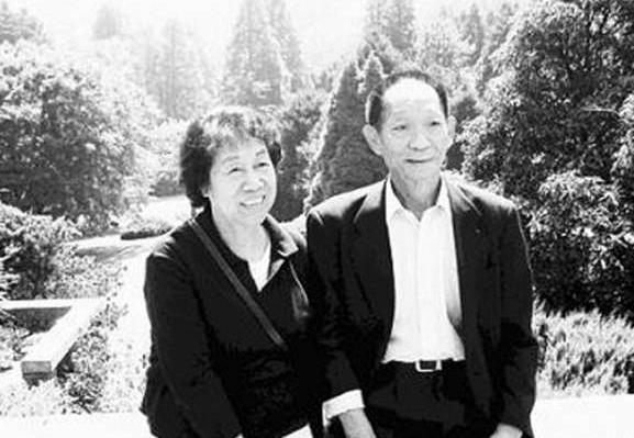 袁隆平爷爷最感人的评论,老一辈人对袁隆平的感情