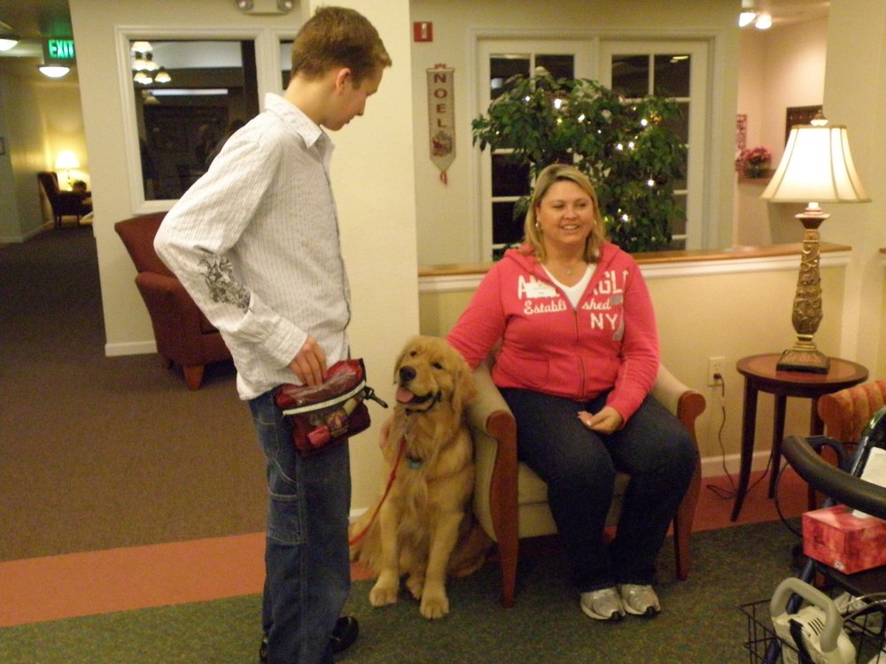 让狗狗独自在家需要准备什么,狗狗邀请做客