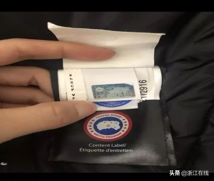 加拿大鹅699元是正品吗,560元的加拿大鹅怎么样