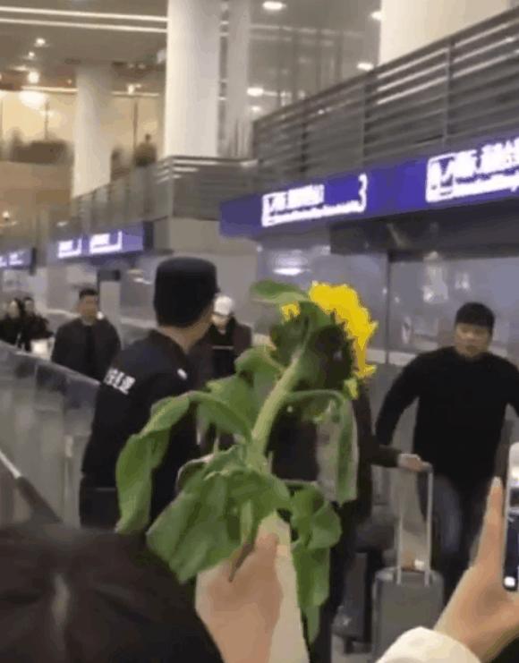 朴有天遭粉丝举报,朴有天重新开始活动引网友指责