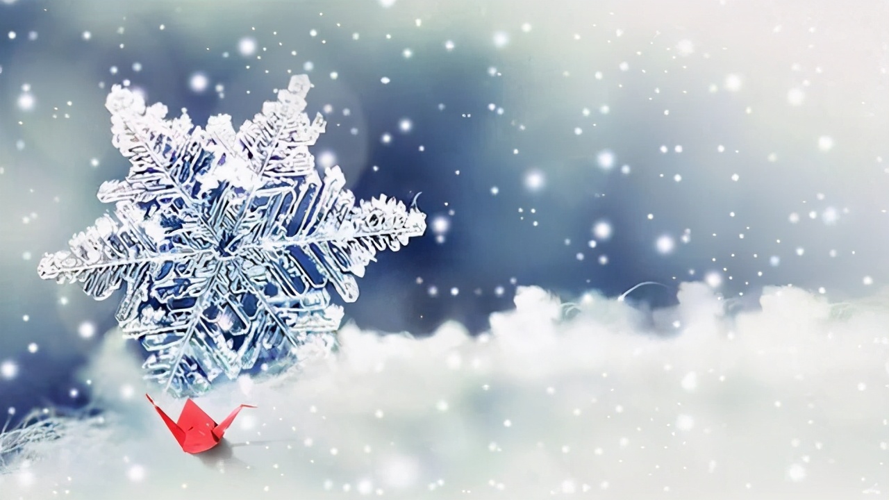 白色秋冬高级感穿搭,高级感白色秋冬穿搭