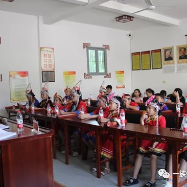 泰顺畲族文化研究会,泰顺县首届畲族文化协会成立