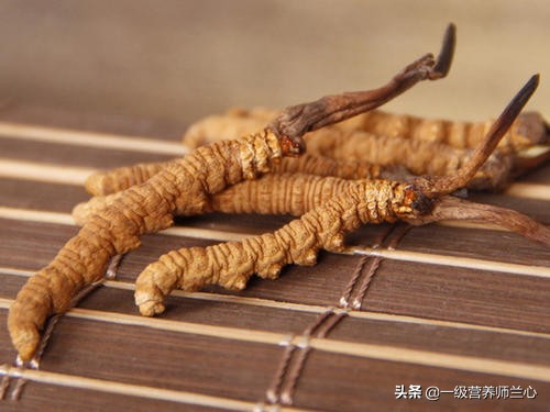 炖鸡汤鲜虫草花好还是干虫草花好,冬虫夏草和虫草花一起炖汤可以吗