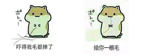 switch最实用的配件推荐,switch新手入坑必看指南