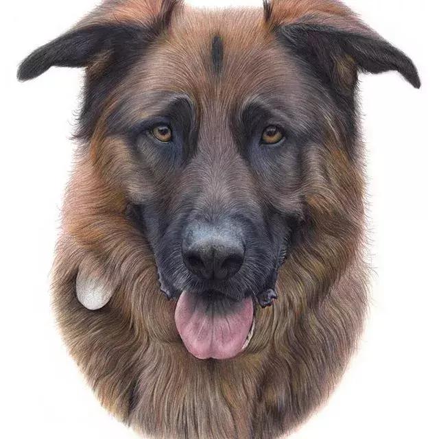 画得比实物好看,彩铅怎么样能画好看