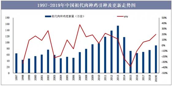 大型种鸡养殖基地,百万种鸡养殖孵化基地