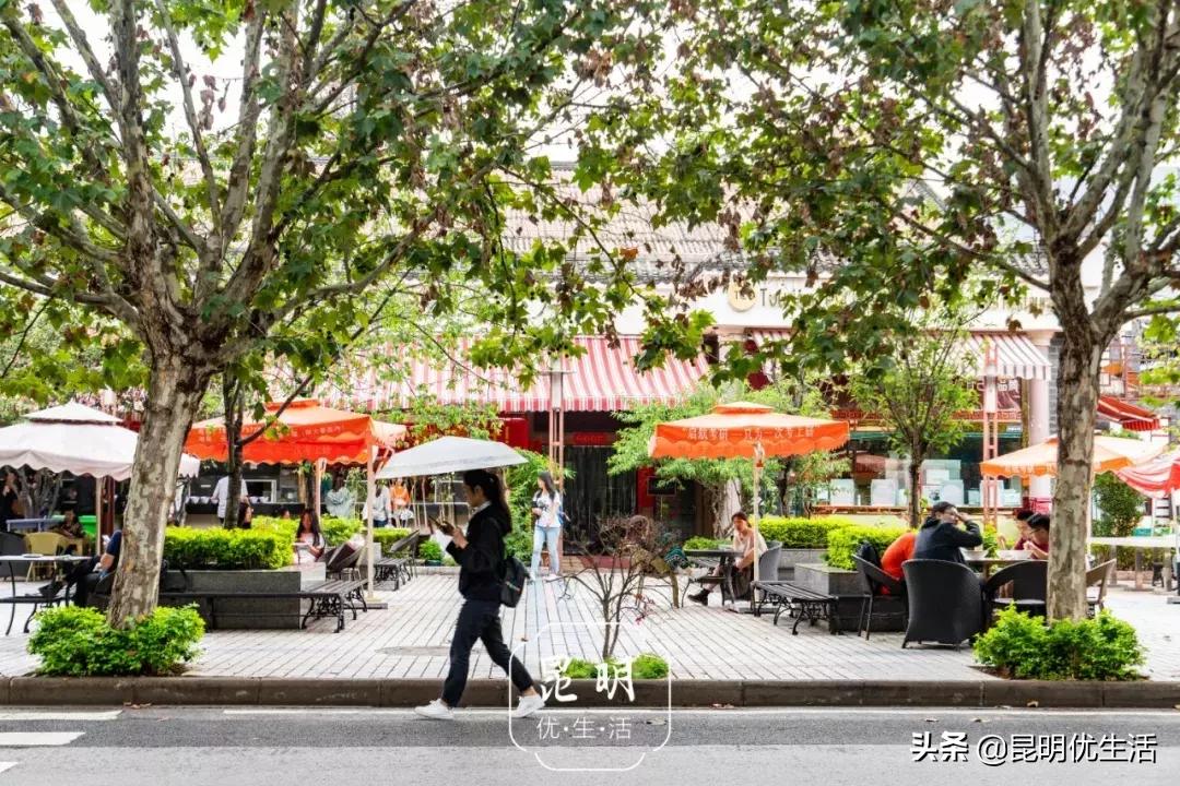 我眼中的云南财经大学,母校云南财经大学