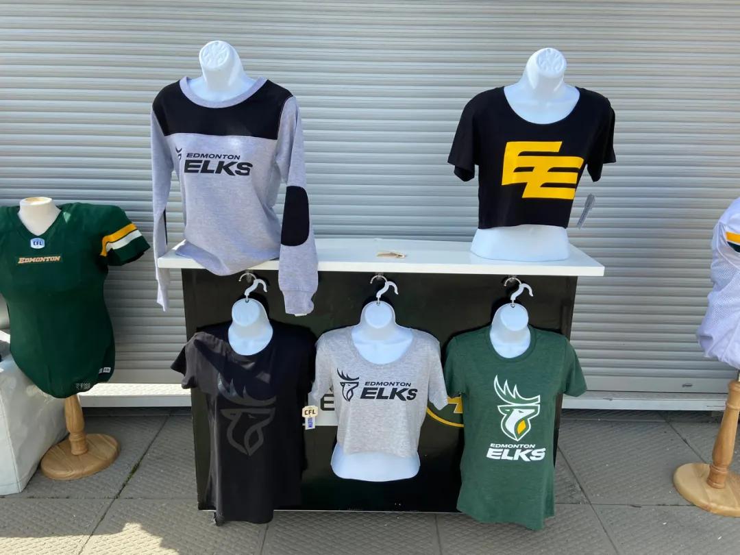 加拿大军队logo,加拿大足球队队旗