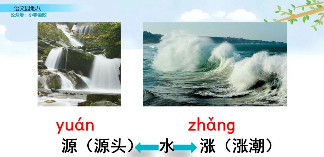 二年级上册语文园地八讲解视频,二年级语文园地八给动物分类答案