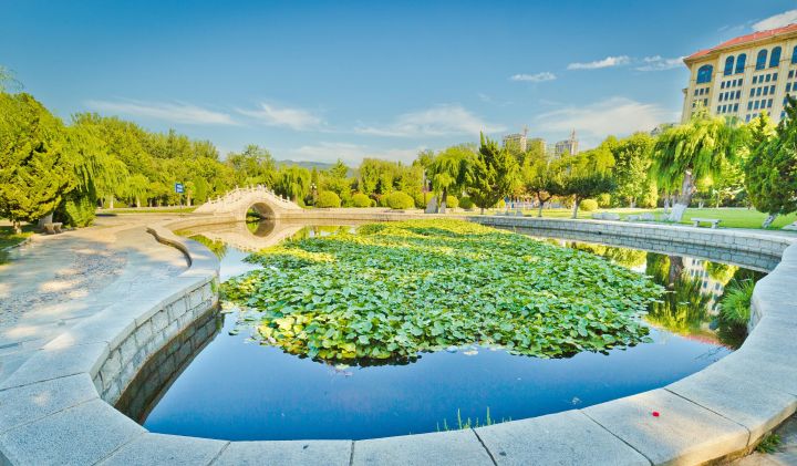 19年山东高校排名,山东鲁东大学简介