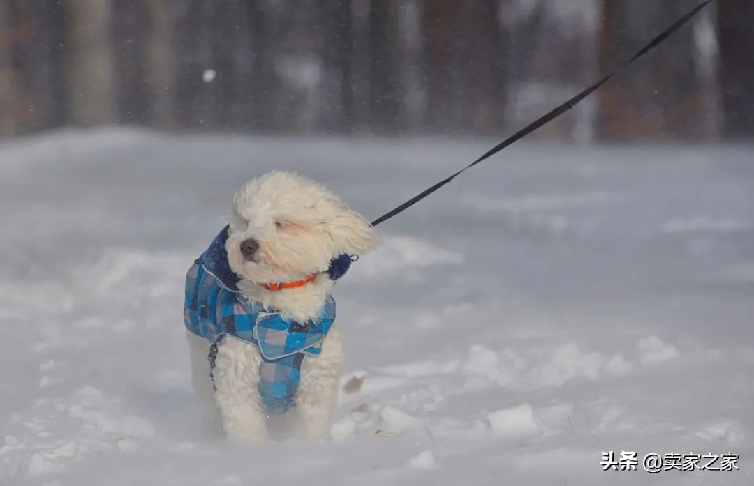 配送延误敬请谅解,配送延误