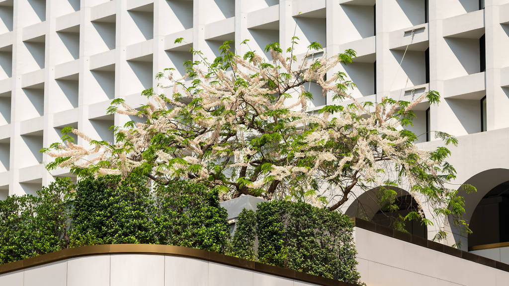 香港五一去哪里玩最合适,香港五月天攻略