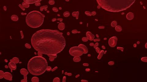 几十年前长虱子为啥现在没有了,为什么以前人长虱子现在没有虱子