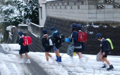 孩子在学校里打架还撒谎,孩子在幼儿园打架老师装作不知道
