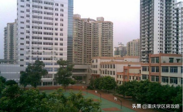 南岸区优质初中,南岸区优质中学