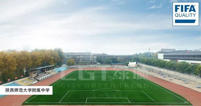 世界上最好的足球场草坪,世界海拔最高的球场