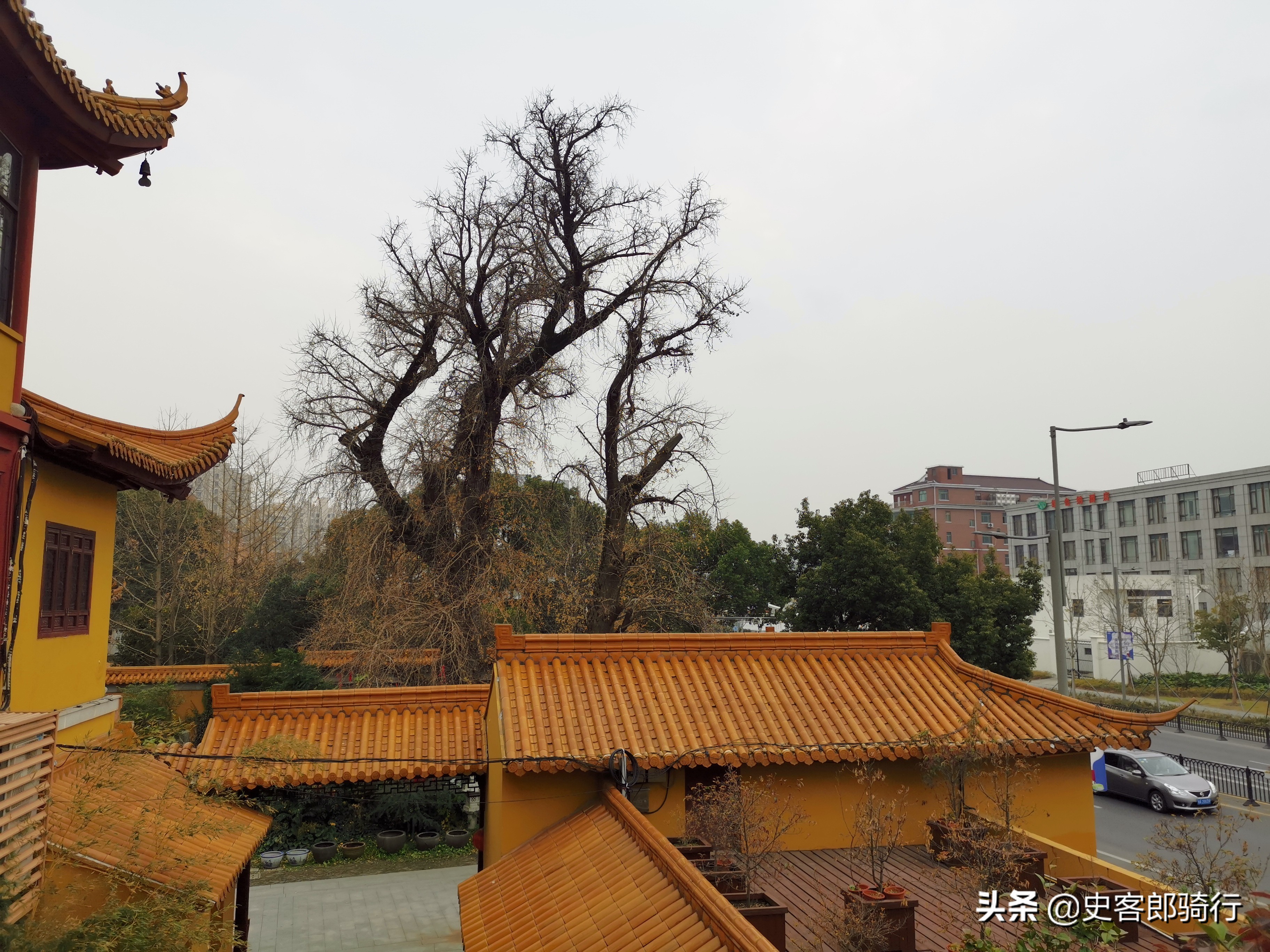 骑车看上海,二严寺
