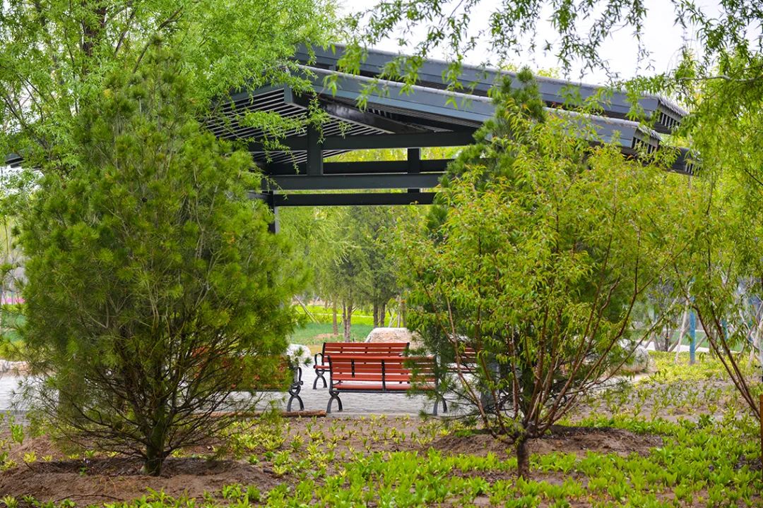 春意盎然北京五大公园,北京区级综合性公园