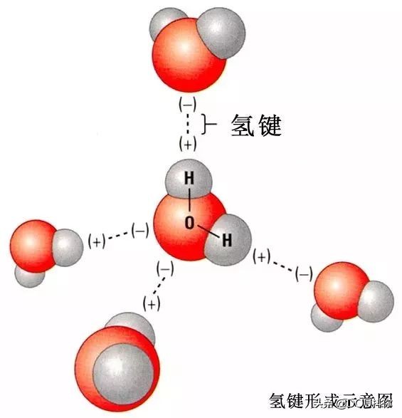 杨幂同款蒸脸器,杨幂代言的蒸脸器是什么牌子
