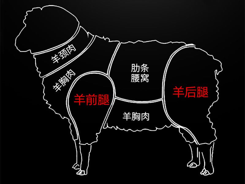 羊腿怎么挑选,羊腿怎么买才正宗