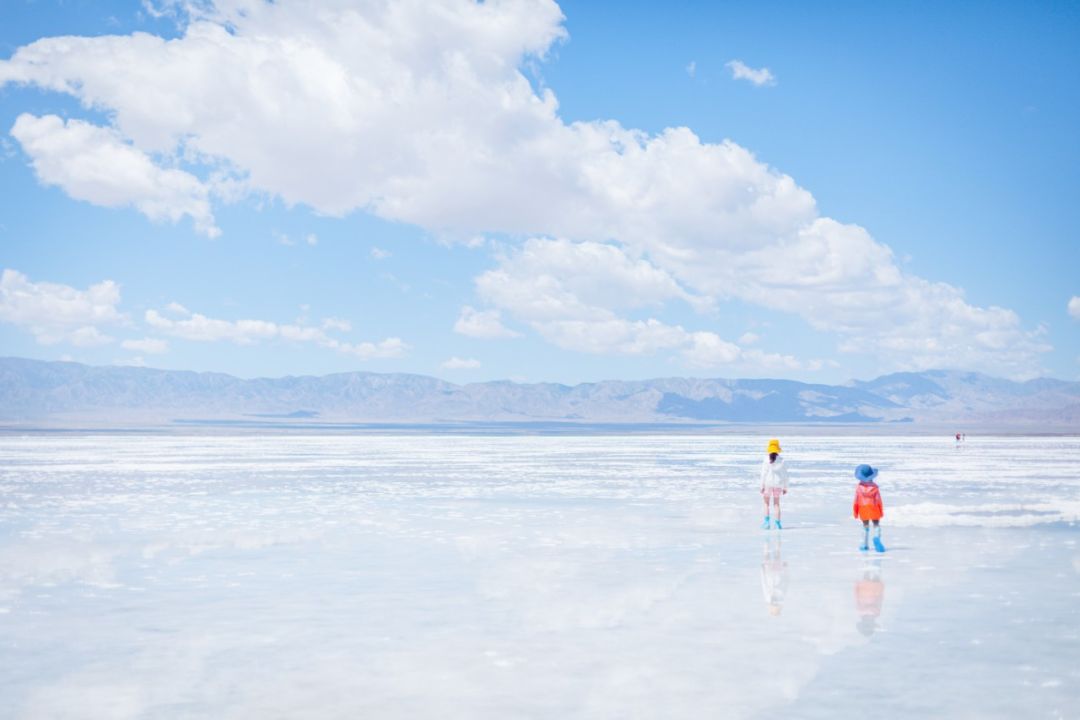 只要你面朝青海湖，八月依旧春暖花开