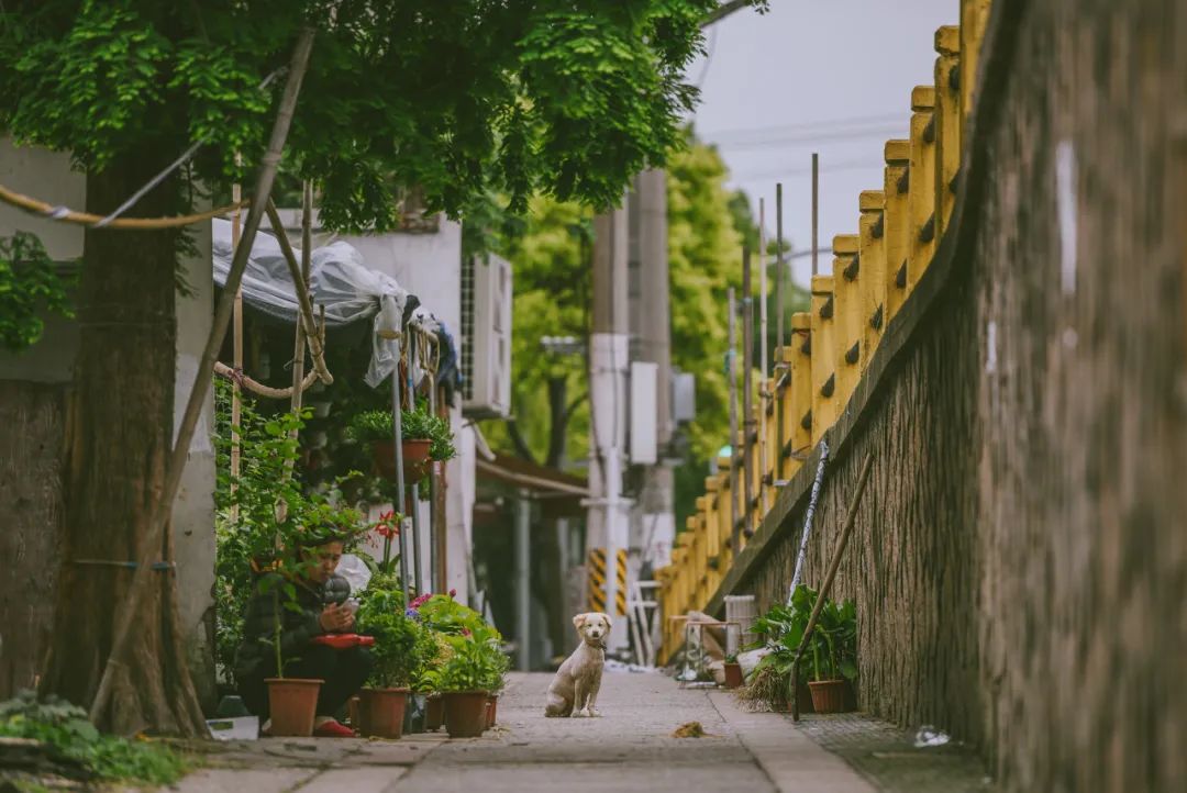 这才是国内最美的地方,这才是中国34省最该去的地方