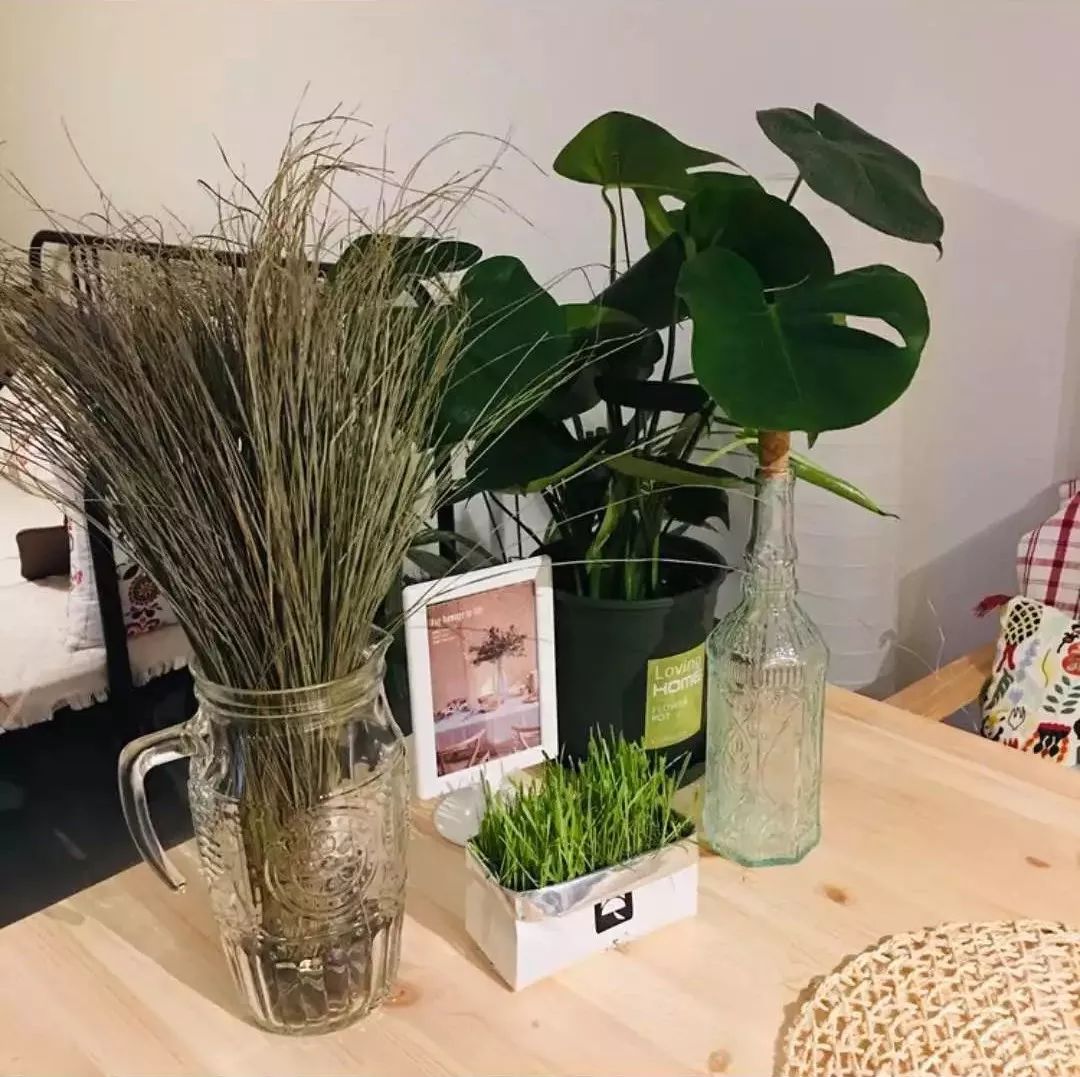 90后设计师妹子仅用5万，将89㎡装成温馨洋房！