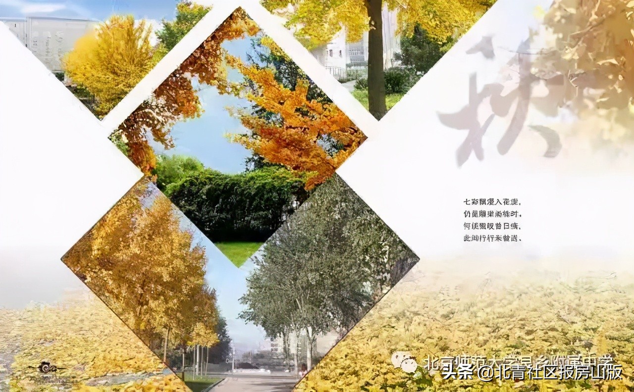 房山的学校和城区的学校差距在哪,房山长阳有什么好的学校
