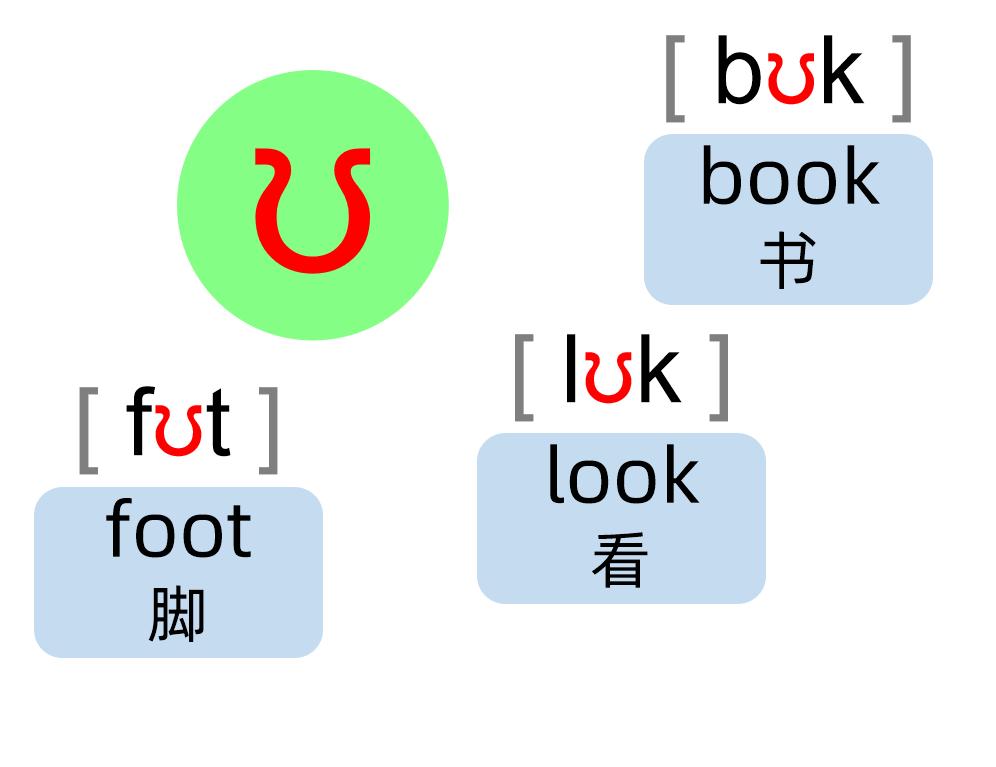 英语音标零基础速成身体记忆,英语音标学习卡片