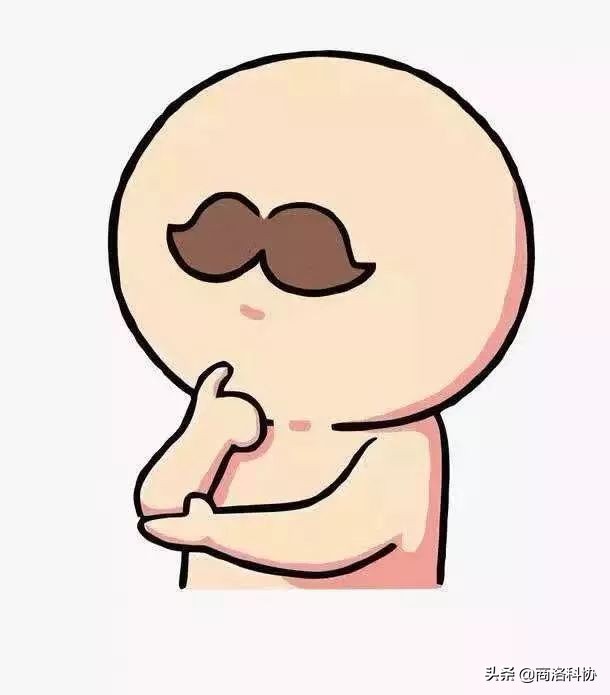 科普孕妇饮食,孕妇口服叶酸宣传知识