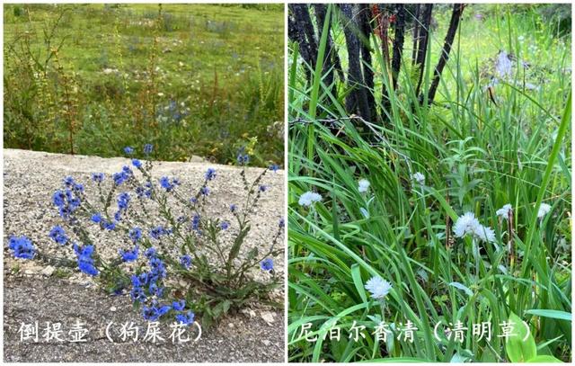 游学夏令营第一天完美收官,2023夏令营游学十大排名