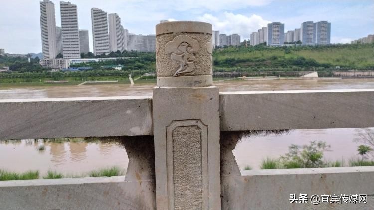 长脚盲蛛密密麻麻,家里发现长脚盲蛛