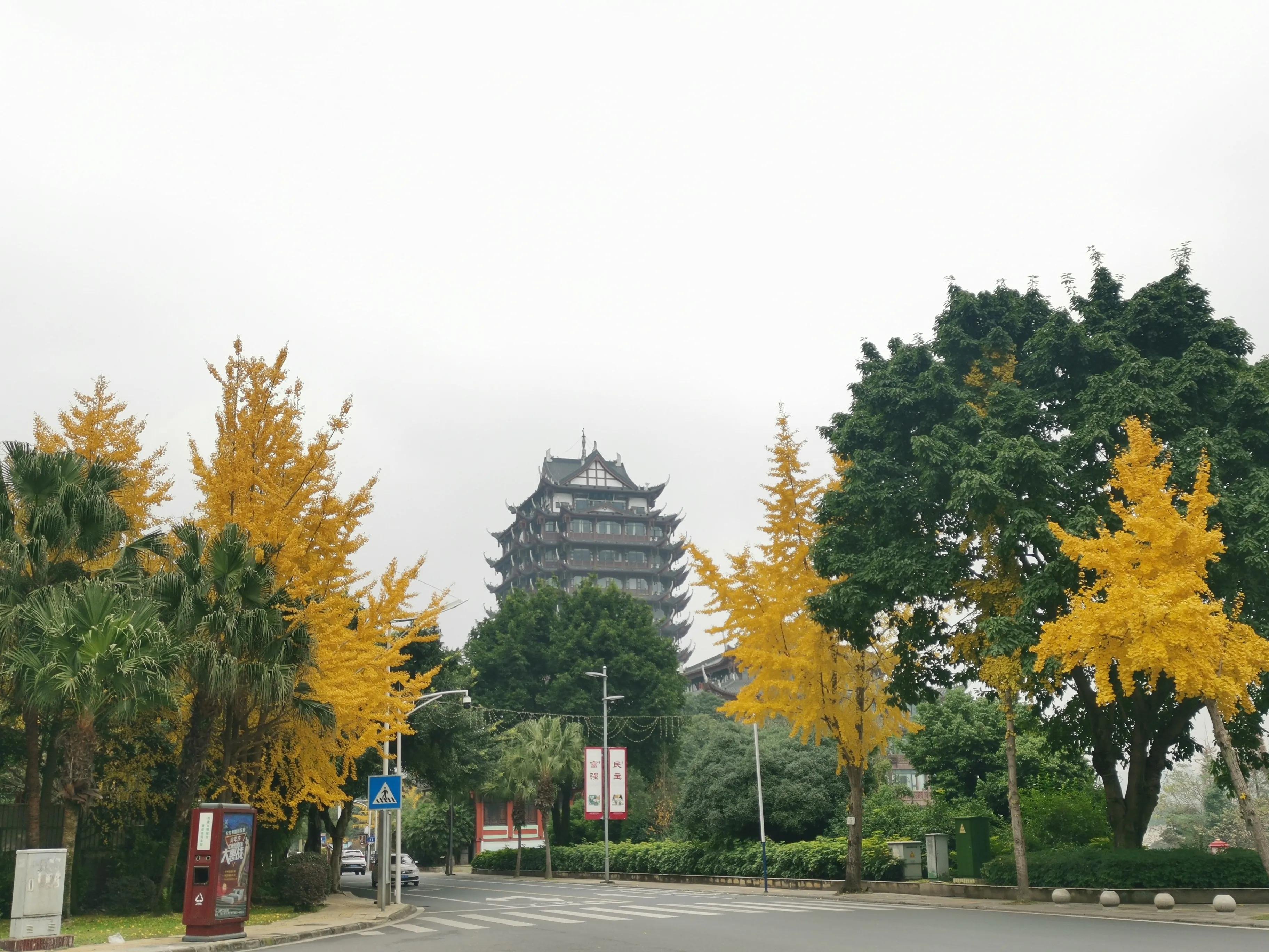 做一个有品有德有修养的人,做一个有品的人