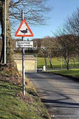 留学兰卡斯特大学,兰卡斯特大学怎么样值得读吗